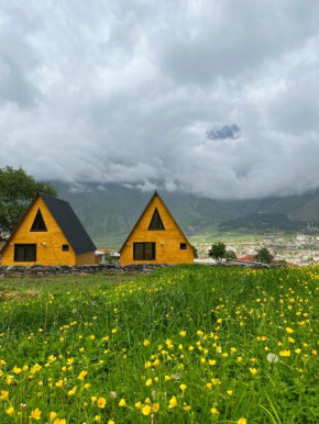 Pine Chalet Kazbegi